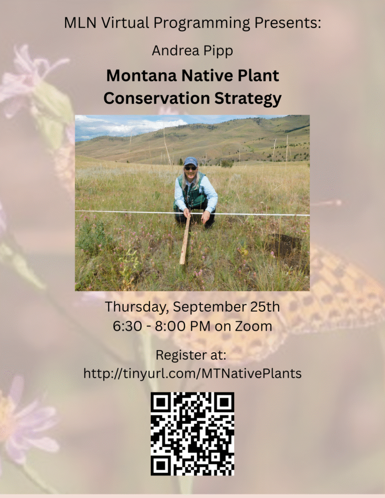MLN Virtual Program presented Andrea Pipp Montana Native Plant Conservation Strategy Thursday, September 25 at 6:30 via Zoom. Register at http://tinyurl.com/MTNativePlants