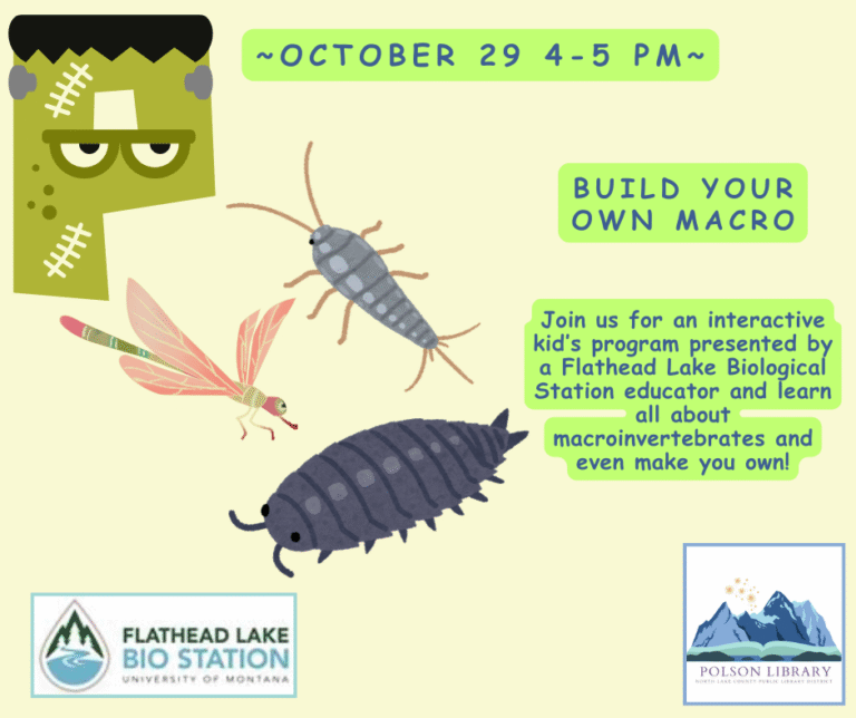 Flathead Lake Biological Station: Build Your Own Macroinvertebrate and learn about them. October 29 at 4 p.m.