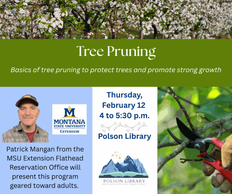 Tree Pruning class with Patrick Mangan from MSU Extension February 12 from 4 to 5:30 p.m.