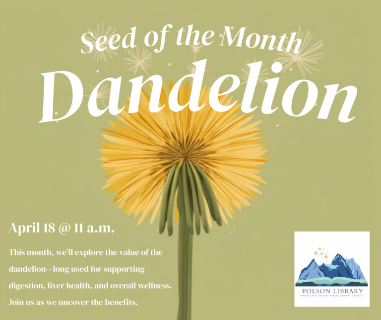Seed of the Month: Dandelion April 18th at 11 a.m. This month, we'll explore the value of the dandelion-long used for supporting digestion, liver health, and overall wellness. Join us as we uncover the benefits.