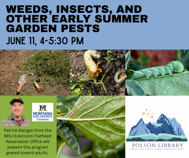Weeds, insects, and other early summer garden pests June 11th, 4-5:30 PM Patrick Mangan from the MSU Extension Flathead Reservation Office will present this program geared toward adults.