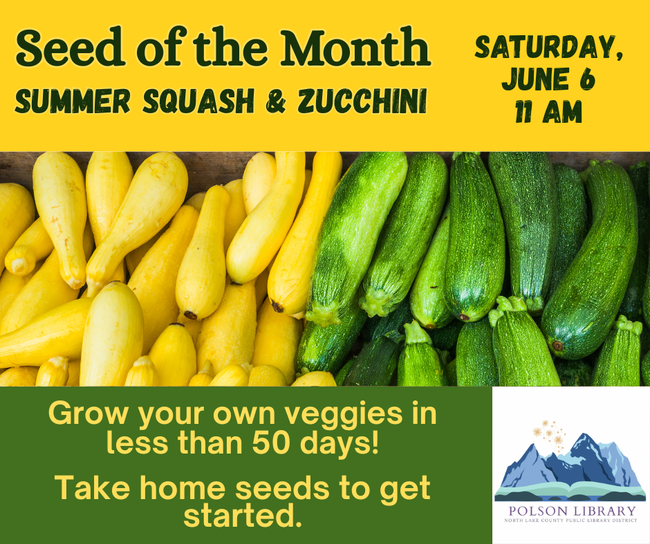 Seed of the Month: Summer Squash and Zucchini Learn how to grow summer squash and zucchini for a bountiful harvest in 50 days. Take home some seeds to get started, it’s not too late! Saturday, June 6 at 11 A.M.