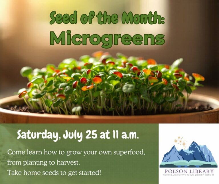 July 25, 11 AM Seed of the Month: Microgreens Growing microgreens at home is simple, fast, and highly rewarding, requiring only seeds, a shallow container, a growing medium, light, and regular watering. Take home seeds to get started!