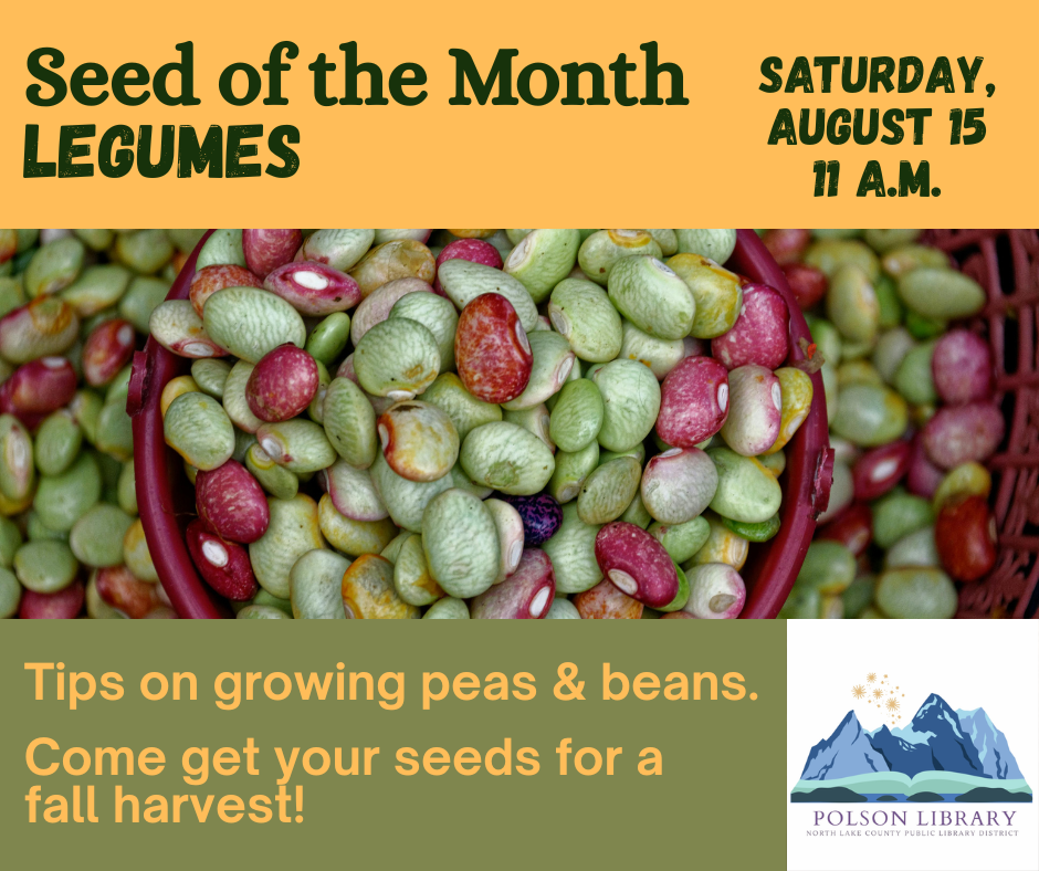 August 15th , 11 AM Seed of the Month: Legumes Plant peas and beans in late summer to early fall, choosing fast-maturing, cold-tolerant varieties. Come learn how and take home seeds to get started.