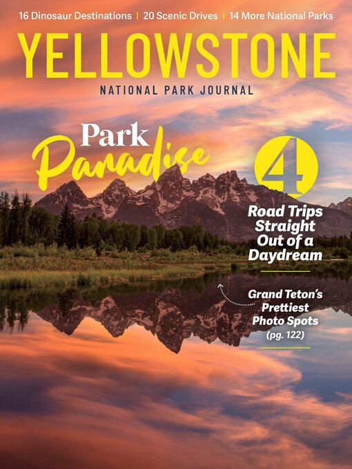 Yellowstone Journal