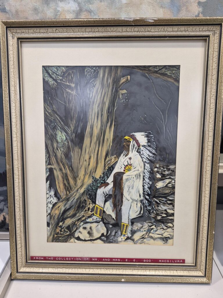 Indian Chief in a wooded area