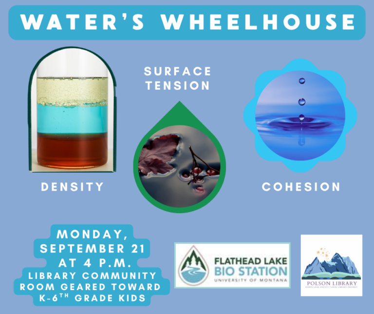 On Monday, September 21st at 4 p.m. the Flathead Lake Bio Station will present Water's Wheelhouse, a program about density, surface tension and cohesion. This program will be in the library community room and is geared towards K-6th grade kids.
